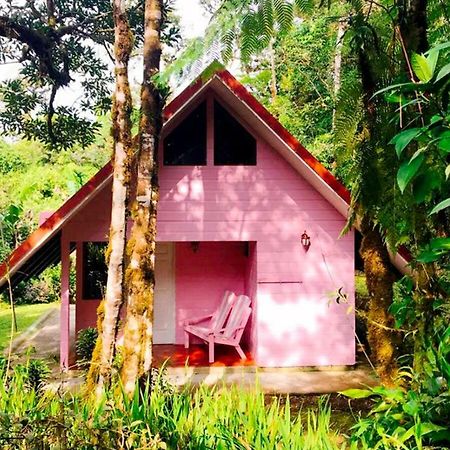 Cabanas Las Orquideas Zapotal  外观 照片