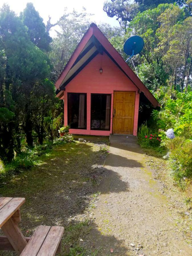 Cabanas Las Orquideas Zapotal  客房 照片