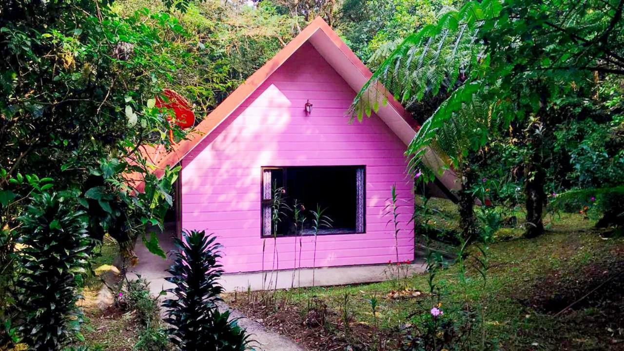 Cabanas Las Orquideas Zapotal  客房 照片