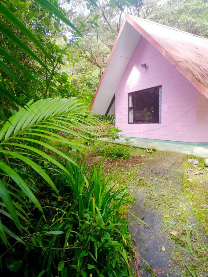 Cabanas Las Orquideas Zapotal  客房 照片
