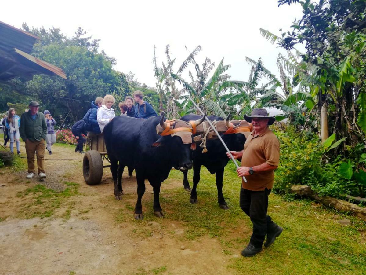 Cabanas Las Orquideas Zapotal  外观 照片