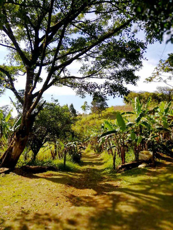 Cabanas Las Orquideas Zapotal  外观 照片