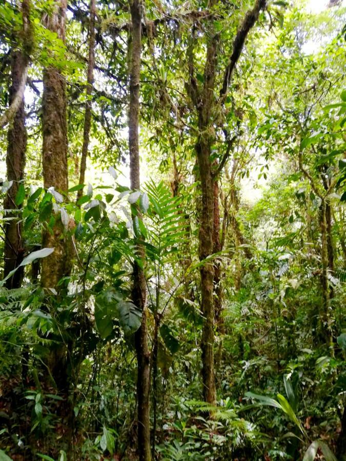 Cabanas Las Orquideas Zapotal  外观 照片