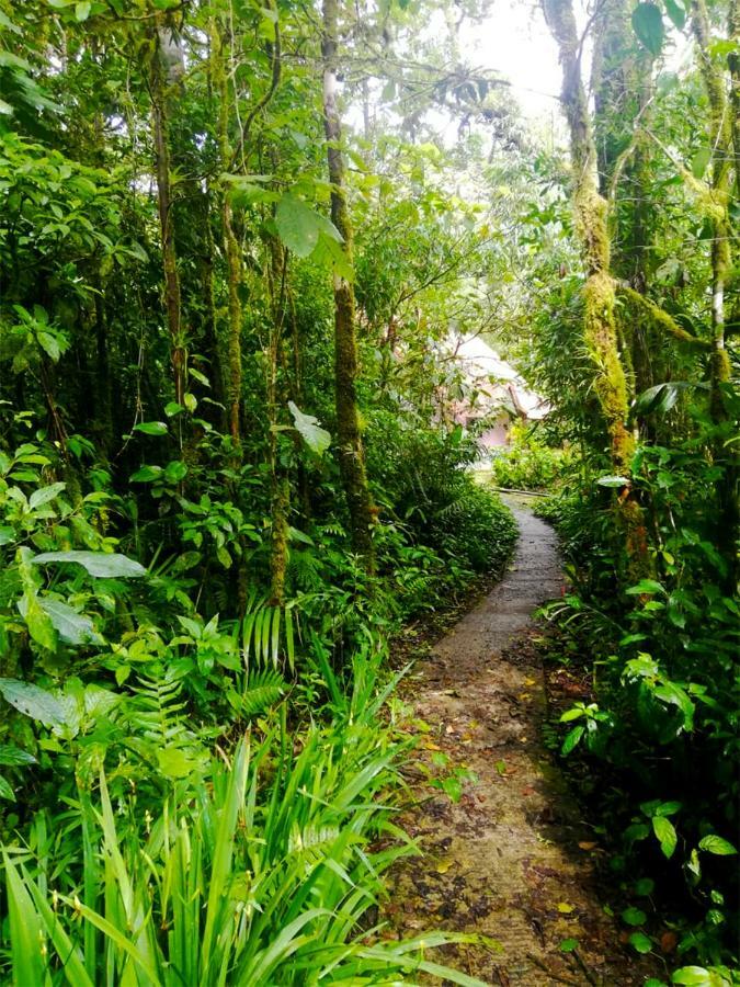 Cabanas Las Orquideas Zapotal  外观 照片