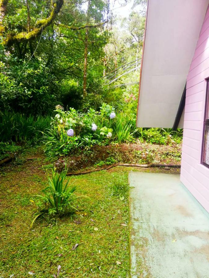 Cabanas Las Orquideas Zapotal  外观 照片